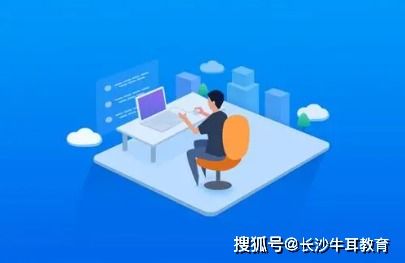軟件開發(fā)如何抉擇 企業(yè)開發(fā)的魚與熊掌能否兼得？
