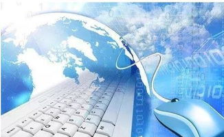 貴陽網站建設公司甄選與技術咨詢指南